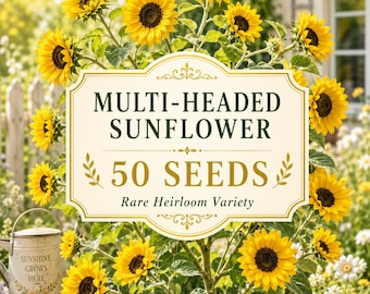 Multi-Headed Sunflower Seeds, Rare Heirloom Branching Variety, Cut Flower Garden (50 Seeds)