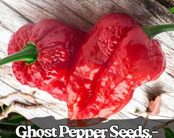 50 semillas de pimiento fantasma – Bhut Jolokia, chile extremadamente picante
