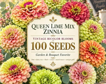100 Samen der Zinnien-Sorte „Queen Lime Mix“ | Zinnia elegans Vintage Bicolor Blooms | Schnittblumensamen in Limettenrosa | Für Bauerngärten und Blumensträuße