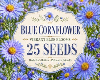 Blue Cornflower Seeds | Vibrant Bachelor's Button Blooms (25 Seeds)