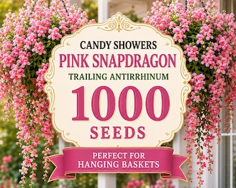 Candy Showers Pink Snapdragon Seeds | Trailing Antirrhinum for Hanging Baskets (1000 Seeds)