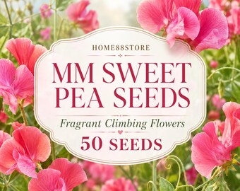 MM Sweet Pea Seeds, Fragrant Climbing Flowers for Trellises, 50 Seeds