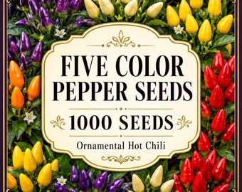 Heirloom Five Color Pepper Seeds, Ornamental Hot Chili, Container Garden Plants (1000 Seeds)