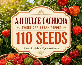 Aji Dulce Cachucha Pepper Seeds, Sweet Open Pollinated Heirloom Garden Planting