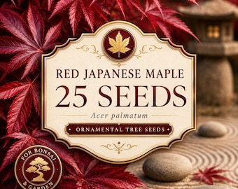 25 Red Japanese Maple Seeds, Acer palmatum Ornamental Tree for Bonsai, Garden