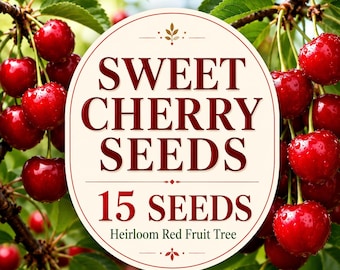 Heirloom Sweet Cherry Seeds, Prunus avium, Home Orchard Fruit Tree, 15 Seeds