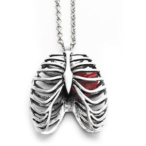 May include: A silver necklace with a ribcage pendant featuring a red heart inside.