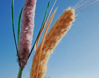 May include: Two decorative stalks featuring fuzzy textures, one in a muted lavender shade with green accents and the other in a golden tan hue. Each stalk is attached to a thin stem, with the lavender one wrapped in green yarn and the tan one in brown.