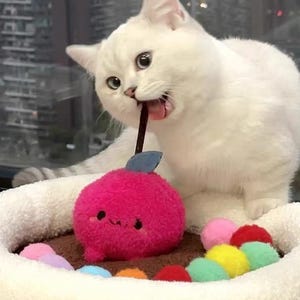 Sweet Apple- The Chew Crew | Catnip Infused Soft Toy Collection | Durable Plush Cat Chew Toy | Family | Cat Birthday Gift | Cat Treats | UK