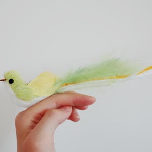 Può includere: Figurina decorativa a forma di uccello con corpo verde chiaro, ali gialle e una lunga coda di piume verdi, gialle e bianche. L'uccello ha un piccolo occhio scuro e un becco marrone. La figurina è tenuta da una mano.
