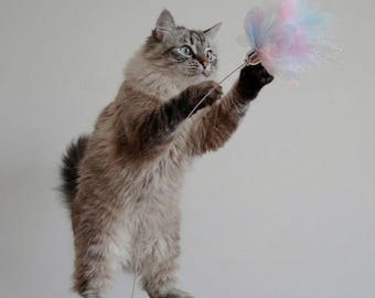 Fairy Fluff | Feather Cat Wand Toy | Pastel Flower Teaser | Interactive Wand For Indoor Cats | Wooden Handle | Personalised Cat Gift UK