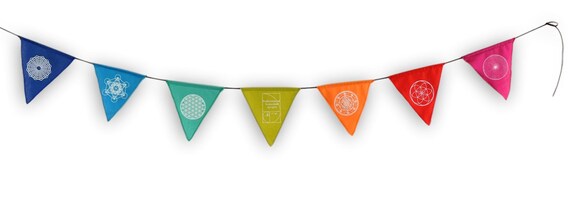 Small 2024 triangle flags