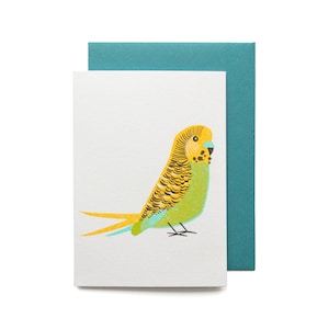 Jolie petite carte perruche - Carte d'anniversaire verte | Jolie petite carte | Carte de voeux pour amoureux des animaux | Carte mini perruche | Carte risographe