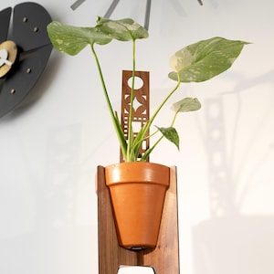 May include: A potted plant with large, variegated green leaves in a terracotta pot. The pot is held in a wooden plant stand with a decorative cutout design. The stand is made of dark wood.