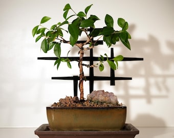 Estacas para bonsái y terrario estilo brutalista MCM — Nogal o acrílico / Fabricadas por JAStudio