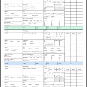 May include: A white medical chart with multiple sections for patient information, including name, allergies, and vital signs. The chart has spaces for recording neurological, cardiac, and respiratory data, along with IV and fluid details.