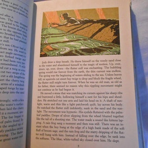 THE YEARLING Book Marjorie Kinnan RAWLINGS Classic Boy & Orphan Fawn ...