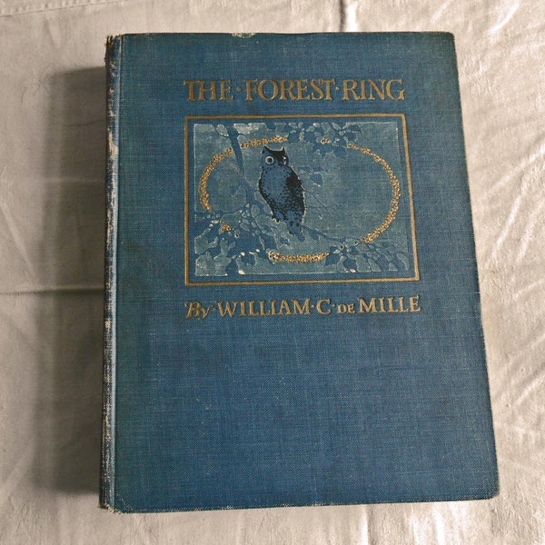 1914 FOREST RING Book Fairies Fantasy Fairy World Young Girl Animals Bears Fox Owl Stags by Wm deMille Based on Orig Play 1st Ed HC 180 pgs