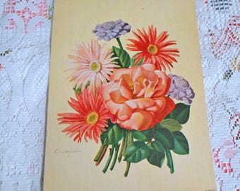 Gerbera Daisy Rose Bouquet Litho Print to Frame Pastel Botanical Art Only 6 Left