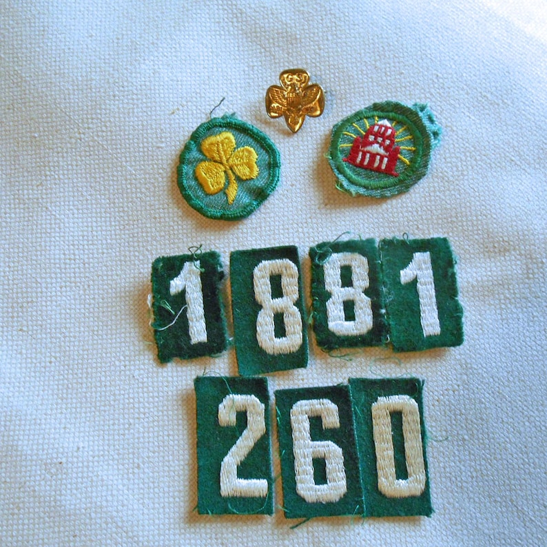 Girl Scout Lot Embroidered Merit Badges Pins Numbers 1950s/60s image 1