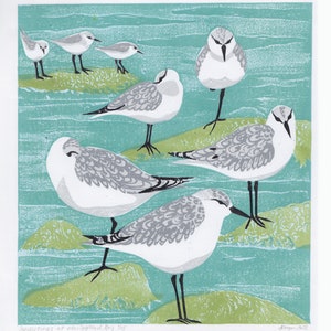 Sanderlings, original lino print, seabird art in UK, waders, scottish coastal scene