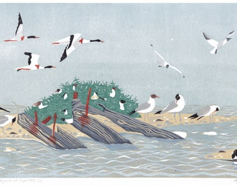 Black headed gulls, sea birds, landscape, wildlife art, linocut print,