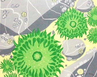 GREEN SURF ANEMONES lino print Pacific ocean sea marine rockpool