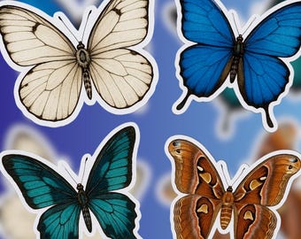 Butterfly Sticker Pack: Glossy Vinyl Decals for Laptop, Water Bottle