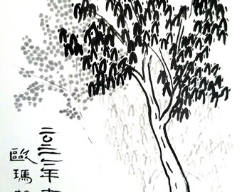 Tarjeta de notas S05 "Willow"