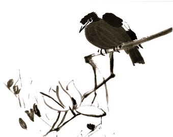 Tarjeta de notas S19 "El Pájaro"