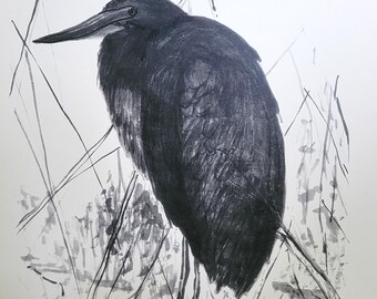 PR01 "In the Marsh"  11 x 14 Print