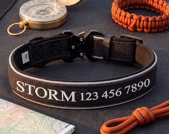 Embroidered Fluorescent Dog Collar with Name and Phone Number, Custom Pet Collar, Safe and Stylish Collar, Gift for Dog Mom/Dad, Puppy ID