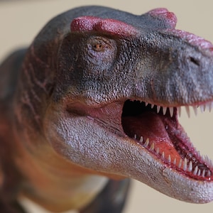Peut inclure: Gros plan d'un modèle de dinosaure. Le dinosaure a une tête grise avec des accents rouges sur le front et une bouche rouge. Sa bouche est ouverte, révélant des dents blanches acérées et une langue rouge. La peau a un aspect texturé.