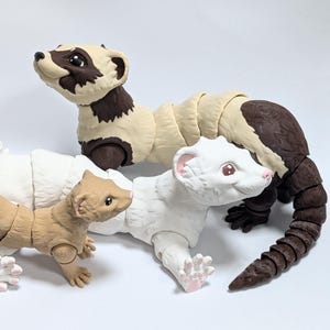 Ferret Pet Model With Masked Colouring.  3D printed. Articulated models.