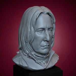 May include: A gray bust sculpture of a man with long hair and a stern expression. The sculpture is mounted on a black base against a burgundy background. The bust features detailed facial features and a high collar.