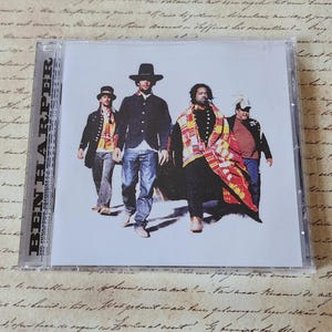 Ben Harper Burn to Shine CD