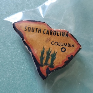 South Carolina Puzzle Piece Magnet