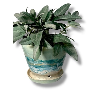 May include: A ceramic plant pot with a matching saucer, featuring a hand-painted design in shades of blue, white, and gold. The pot holds a leafy green plant, creating a decorative and natural accent for home decor.