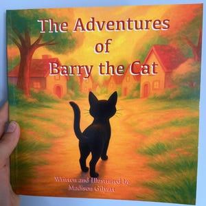 Les Aventures de Barry le Chat - Livre jeunesse