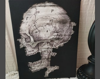 Gothic Anatomy Skull Paper Craft Hand Painted Flat Canvas Wall Art - Halloween Decor