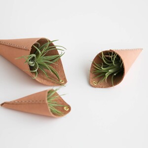 Leather Air Plant Holder image 3