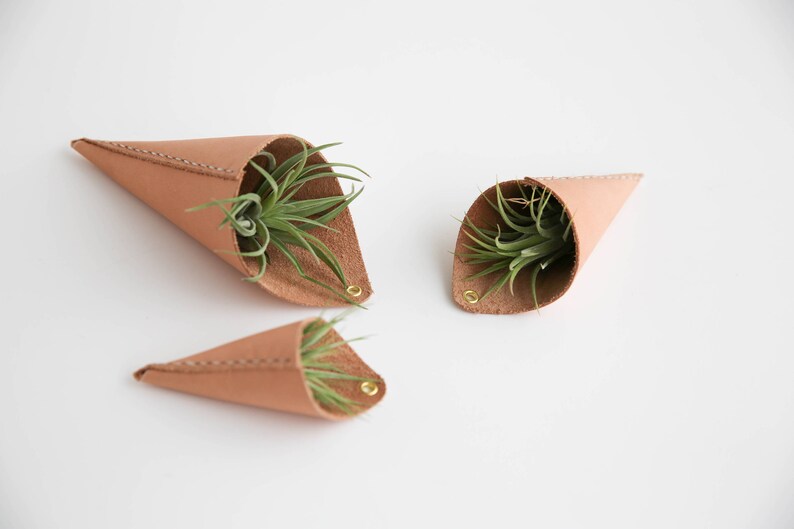 Leather Air Plant Holder image 3