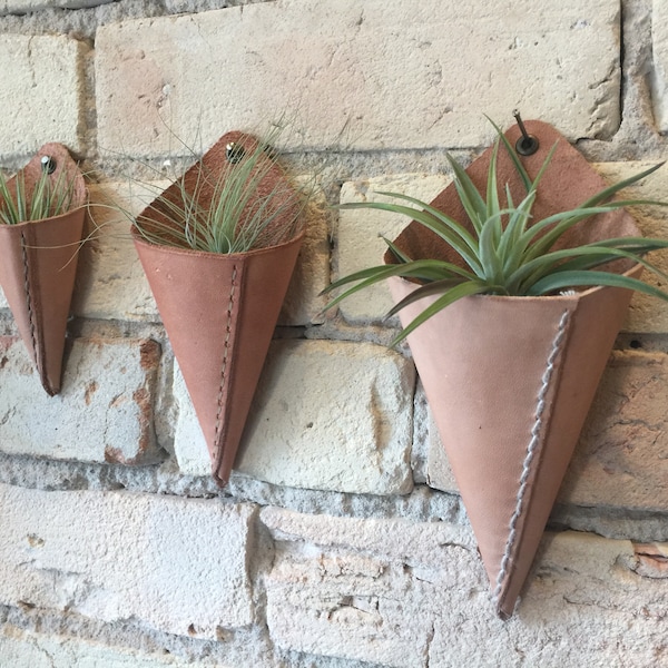 Leather Air Plant Holder