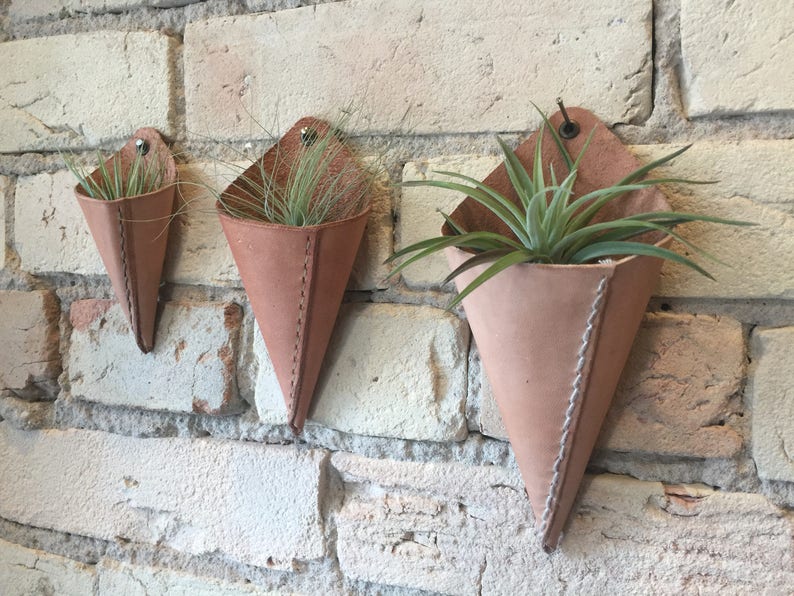 Leather Air Plant Holder image 1