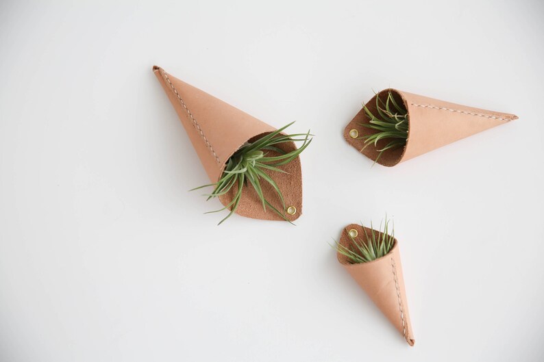 Leather Air Plant Holder image 2