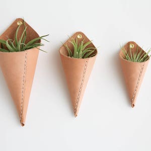 Leather Air Plant Holder image 4