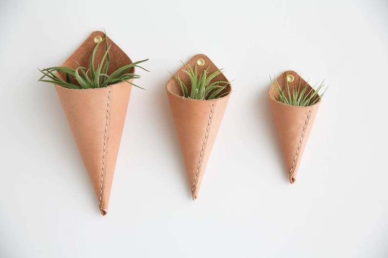 Leather Air Plant Holder image 4