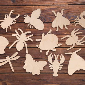 Unfinished Bug & Insect Plywood Shapes | DIY Wooden Cutouts for Painting, Nature Crafts, Decor and Learning