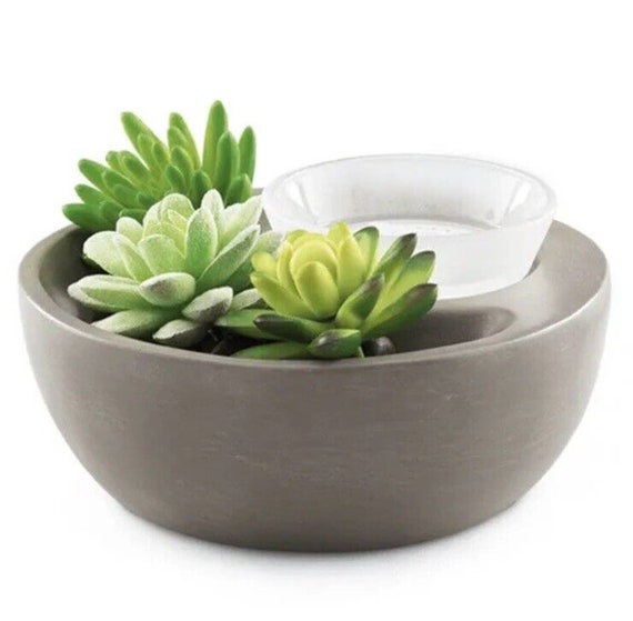 Scentsy LITTLE GARDEN Element Wax Warmer Customizable Succulent RETIRED -  Etsy