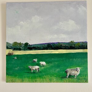 Sheep in field, “What are you looking at?”, country scene